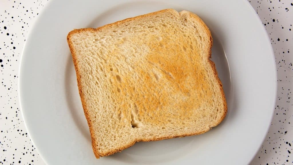 Slice of toast on a white plate