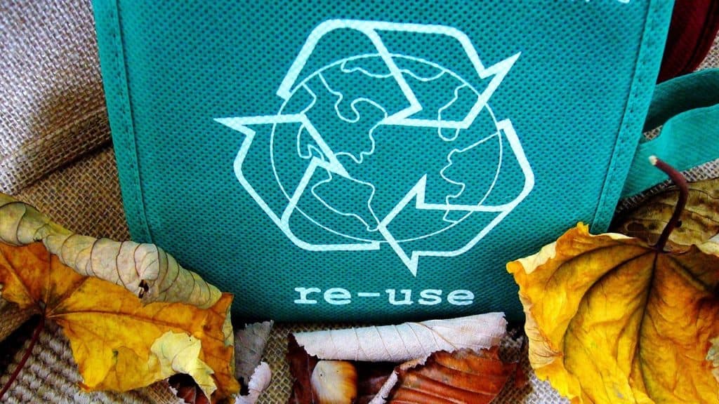 Recycling symbol on canvas bag with word "re-use"