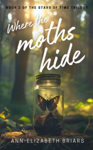 Where the Moths Hide by Ann-Elizabeth Briars